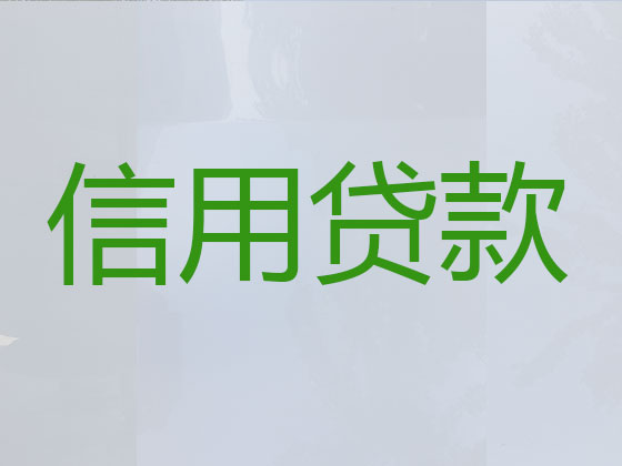 娄底贷款公司-信用贷款